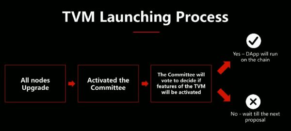TVM Launch Process